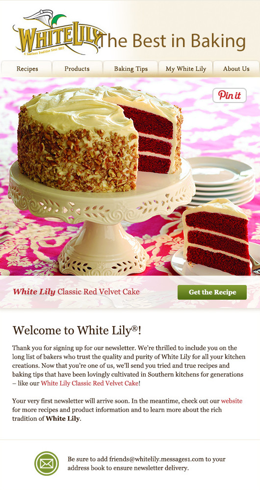 email-marketing-automation-white-lily